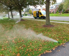 Lawn Sprinkler Service