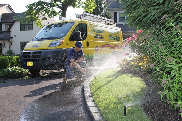 Have my Sprinkler Spring Turn on Completed by the Professionals, or do it Myself?