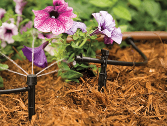 Professionally installed drip irrigation
