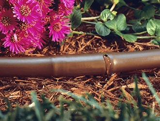 Best drip irrigation installation company