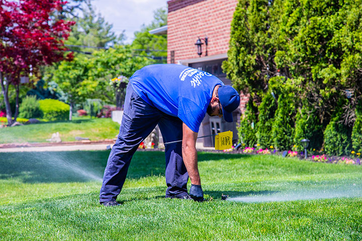 Local lawn sprinkler installation company