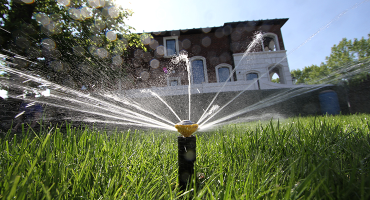 Beautiful flowers with lawn sprinkler system