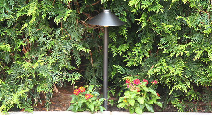 Professional landscape
lighting company