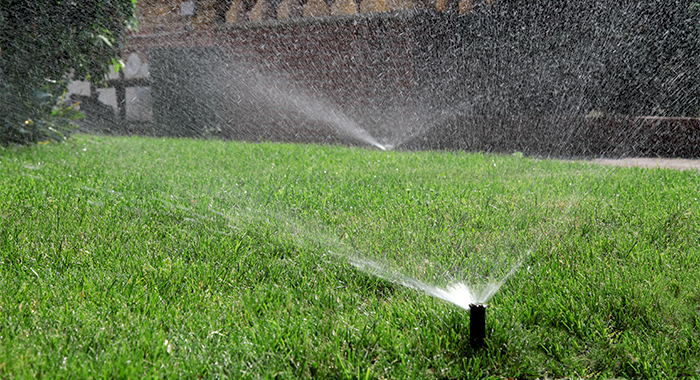 Professional lawn sprinkler installations