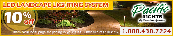 10% Off Lighting